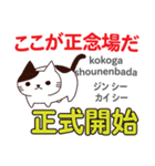 猫の気持ち 日本語台湾語（個別スタンプ：29）