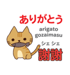 猫の気持ち 日本語台湾語（個別スタンプ：31）