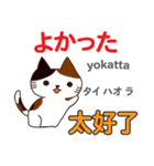 猫の気持ち 日本語台湾語（個別スタンプ：36）