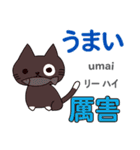 猫の気持ち 日本語台湾語（個別スタンプ：37）