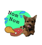 Mafia Norwich Terrier（個別スタンプ：4）