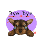 Mafia Norwich Terrier（個別スタンプ：7）