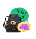 Mafia Norwich Terrier（個別スタンプ：31）