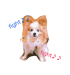 ラブピース（個別スタンプ：3）