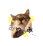 Mko（個別スタンプ：5）