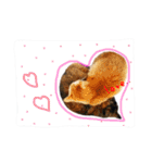 ちゃこみねこ（個別スタンプ：15）