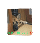 プリンと話そ2（個別スタンプ：2）