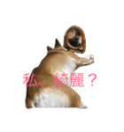 プリンと話そ2（個別スタンプ：5）
