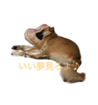プリンと話そ2（個別スタンプ：6）