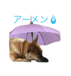 プリンと話そ2（個別スタンプ：8）
