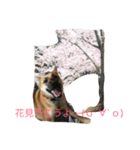 プリンと話そ2（個別スタンプ：13）