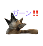 プリンと話そ2（個別スタンプ：16）
