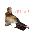 プリンと話そ2（個別スタンプ：21）