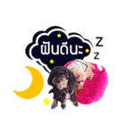 BuBoo and Family（個別スタンプ：16）