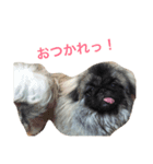 Bem Thin Pon（個別スタンプ：1）