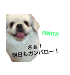 Bem Thin Pon（個別スタンプ：7）