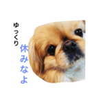 Bem Thin Pon（個別スタンプ：8）
