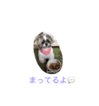 ddaisyy（個別スタンプ：3）