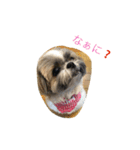 ddaisyy（個別スタンプ：4）