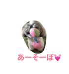 ddaisyy（個別スタンプ：5）