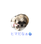 ddaisyy（個別スタンプ：6）