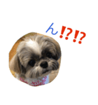 ddaisyy（個別スタンプ：8）