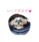 ddaisyy（個別スタンプ：9）