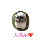 ddaisyy（個別スタンプ：11）
