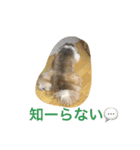 ddaisyy（個別スタンプ：13）