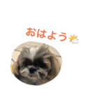ddaisyy（個別スタンプ：14）