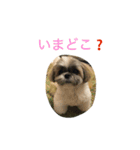ddaisyy（個別スタンプ：16）