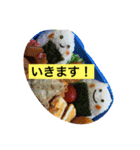 お弁当のあの子（個別スタンプ：12）