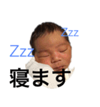 rocorauスタンプ2（個別スタンプ：1）
