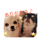 rocorauスタンプ2（個別スタンプ：12）