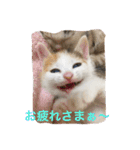 ねいるとはいるとかわいいなかまたち（個別スタンプ：22）