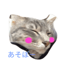 うちのかわいいコ（個別スタンプ：1）