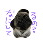 りたとこた（個別スタンプ：1）