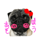 りたとこた（個別スタンプ：3）