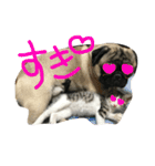 りたとこた（個別スタンプ：5）