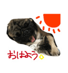 りたとこた（個別スタンプ：8）