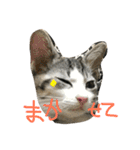 りたとこた（個別スタンプ：11）