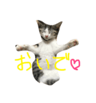 りたとこた（個別スタンプ：15）