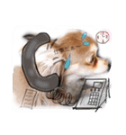 cute chiwawa2（個別スタンプ：15）