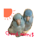マメとルリ（個別スタンプ：3）