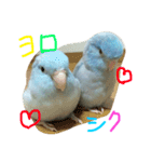 マメとルリ（個別スタンプ：8）
