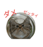ニアびん（個別スタンプ：7）