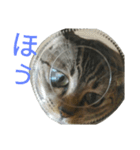 ニアびん（個別スタンプ：14）