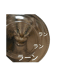 ニアびん（個別スタンプ：21）