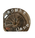 ニアびん（個別スタンプ：22）