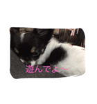 我が家のちょこちゃん（個別スタンプ：2）